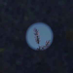 成人图片片❌❌❌免费
